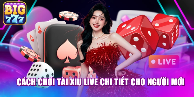 Cách chơi tài xỉu live chi tiết cho người mới
