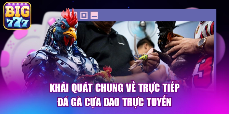 Khái quát chung về trực tiếp đá gà cựa dao trực tuyến