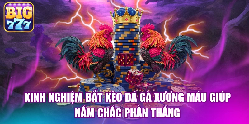 Kinh nghiệm bắt kèo đá gà xương máu giúp nắm chắc phần thắng
