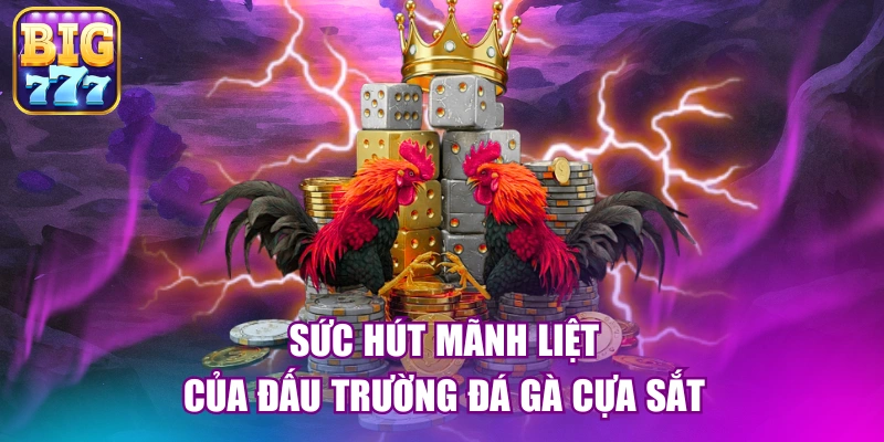 Sức hút mãnh liệt của đấu trường đá gà cựa sắt