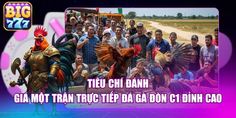 Tiêu chí đánh giá một trận trực tiếp đá gà đòn C1 đỉnh cao