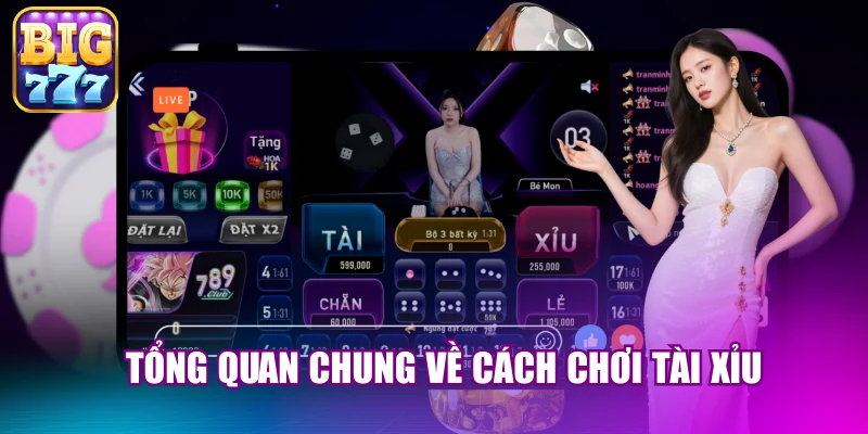 Tổng quan chung về cách chơi tài xỉu