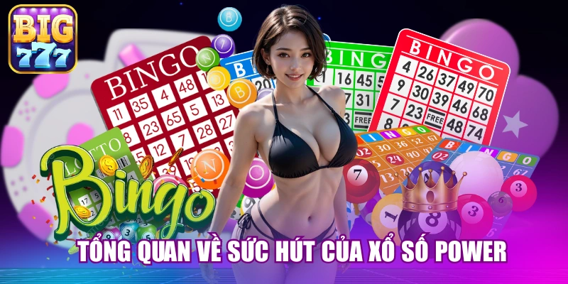 Tổng quan về sức hút của xổ số Power