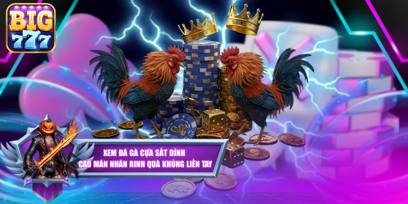 Xem Đá Gà Cựa Sắt Đỉnh Cao Mãn Nhãn Rinh Quà Khủng Liền Tay