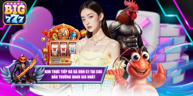 Xem Trực Tiếp Đá Gà Đòn C1 Tại Các Đấu Trường Danh Giá Nhất